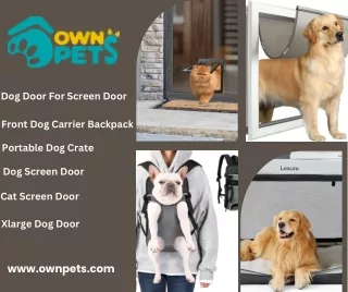 Cat Screen Door: A Stylish Solution for Indoor-Outdoor Access