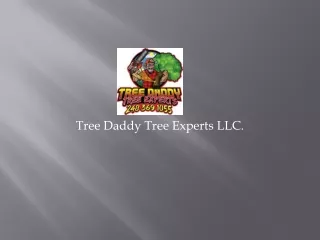 Tree removal and stump grinding service by Tree Experts ppt