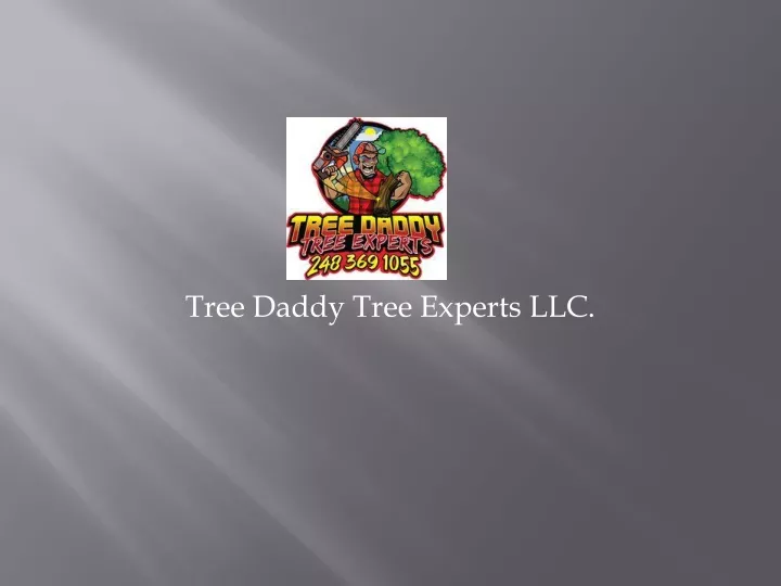 tree daddy tree experts llc