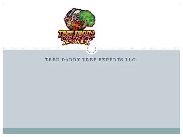 tree daddy tree experts llc