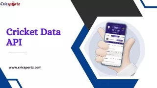 Experience the Best in Cricket Data with Our API