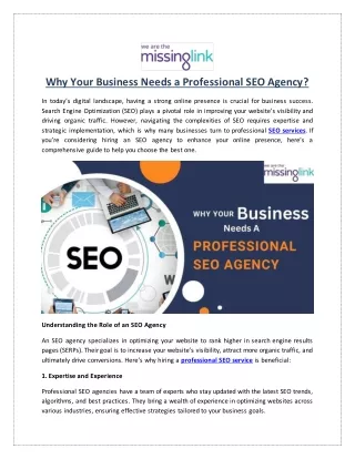 Why Your Business Needs a Professional SEO Agency