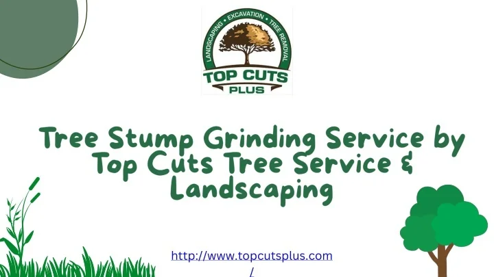 PPT - Tree Stump Grinding Service PowerPoint Presentation, free ...