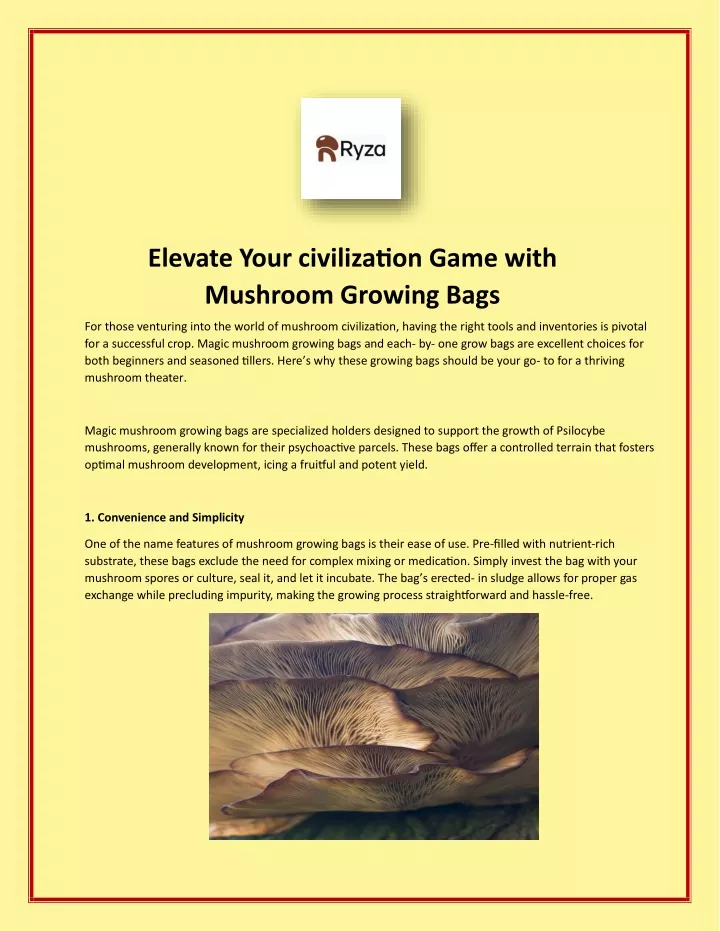 elevate your civilization game with mushroom