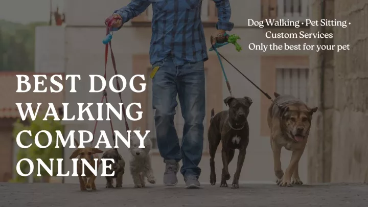 dog walking pet sitting custom services only