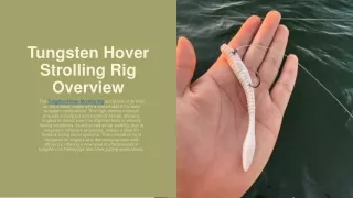 Hover Strolling Rig – Tungsten 4 Anglers