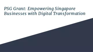 PSG Grant: Empowering Singapore Businesses with Digital Transformation