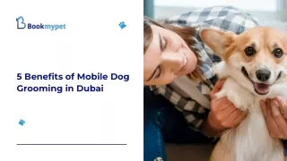 5 Benefits of Mobile Dog Grooming in Dubai