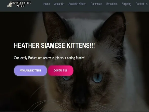 Siamese Kittens for Sale