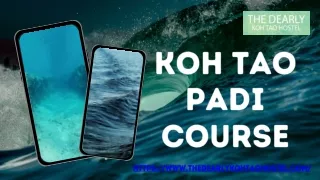 PADI Koh Tao| The Dearly Koh Tao