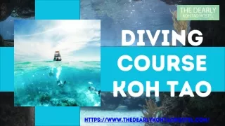 Scuba Diving In Koh Tao| The Dearly Koh Tao