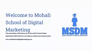 SEO Training Course by Mohali School of Digital Marketing