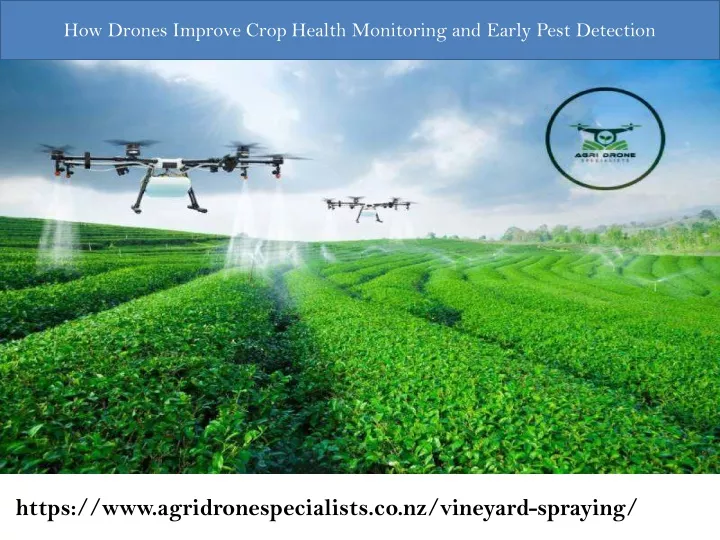 how drones improve crop health monitoring