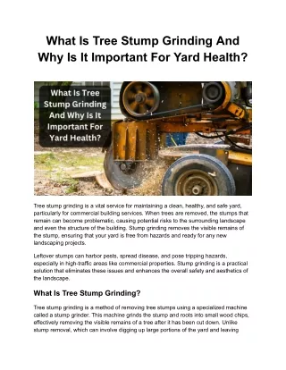 Why Tree Stump Grinding Is Essential For A Healthy And Safe Yard