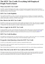 What is the SETC Tax Credit? - slide 1