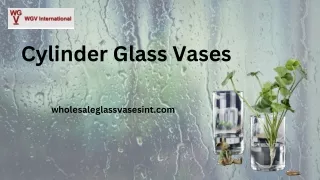 Elegant Cylinder Glass Vases for Every Occasion"