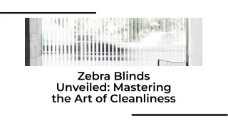 How to Keep Zebra Blinds Clean