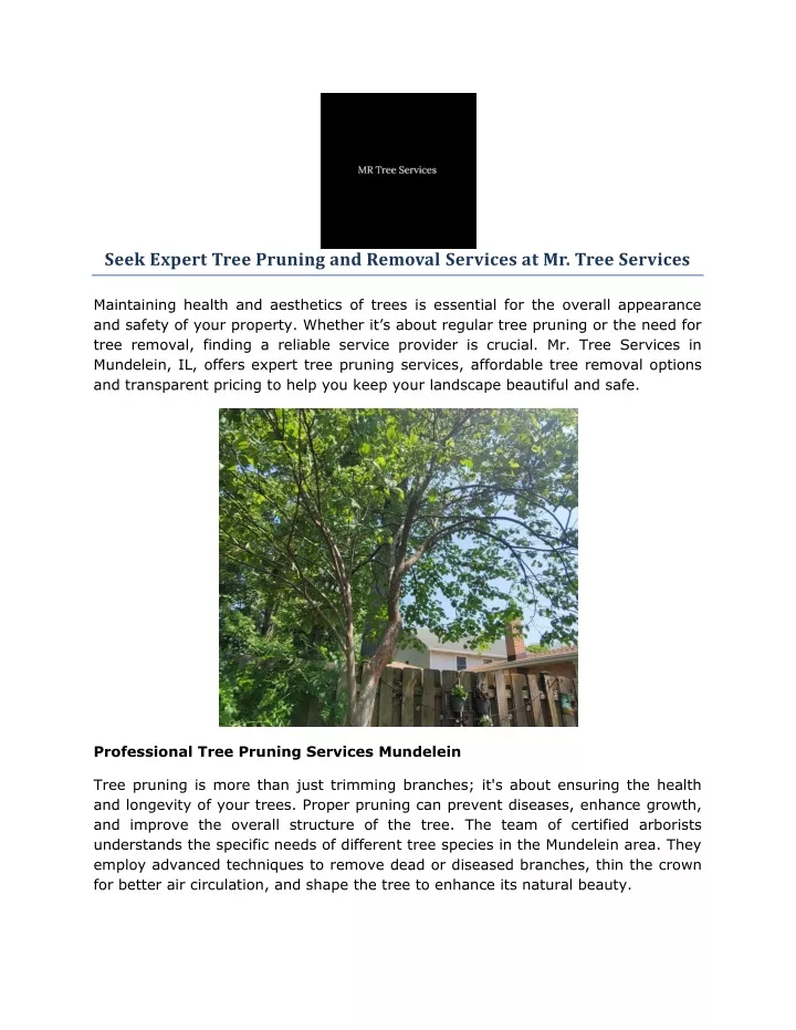 seek expert tree pruning and removal services