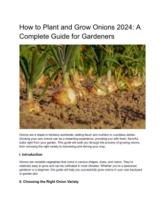 How to plant and Grow Onions 2024- A Complete Guide for Gardeners