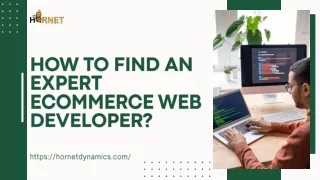 How to Find an Expert Ecommerce Web Developer?