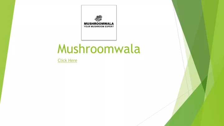 mushroomwala