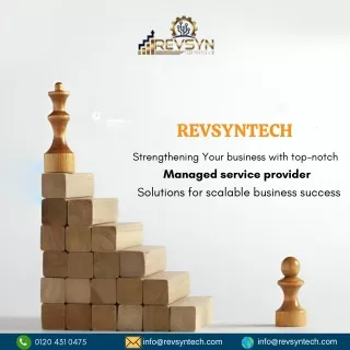 Revsyntech private limited