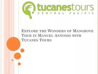 Mangrove Tour in Manuel Antonio with Tucanes Tours