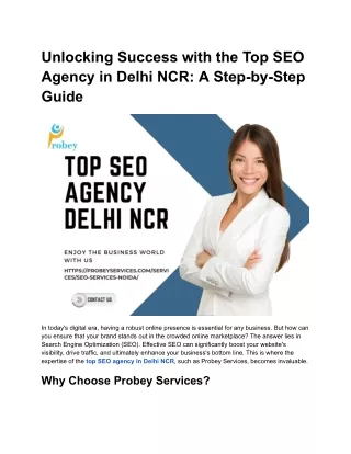 Unlocking Success with the Top SEO Agency in Delhi NCR: A Step-by-Step Guide