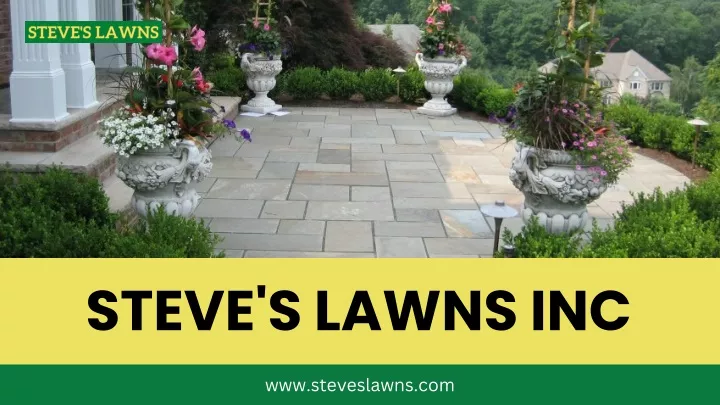 steve s lawns inc