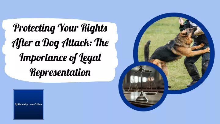 protecting your rights after a dog attack