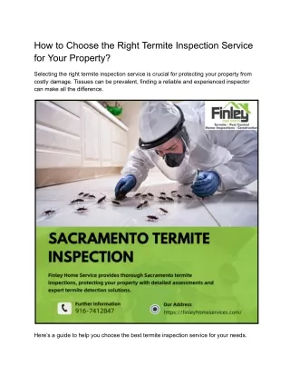 how to choose the right termite inspection