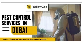 YellowZap: Expert Pest Control Services in Dubai