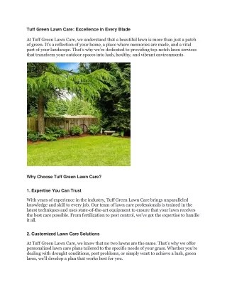tuff green lawn care excellence in every blade