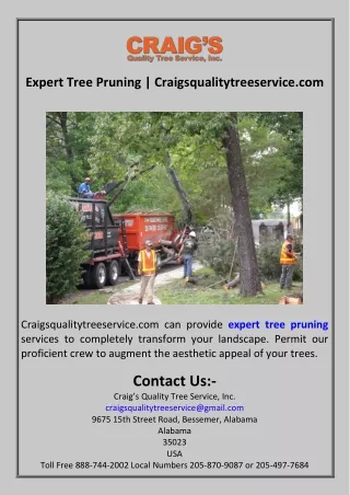 Expert Tree Pruning  Craigsqualitytreeservice.com