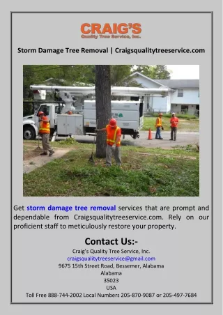 Storm Damage Tree Removal  Craigsqualitytreeservice.com