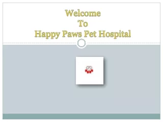 Pet Preventive Vaccination | Happy Paws Pet Hospital