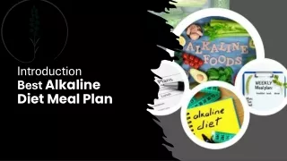 Best Alkaline Diet Meal Plan