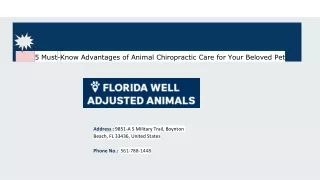 5 Must-Know Advantages of Animal Chiropractic Care for Your Beloved Pet