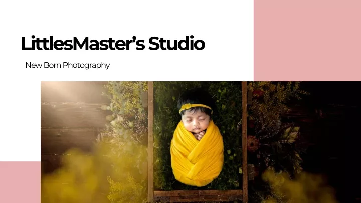 littlesmaster s studio