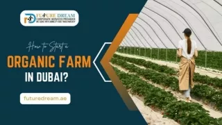 How to Start an Organic Farm in Dubai