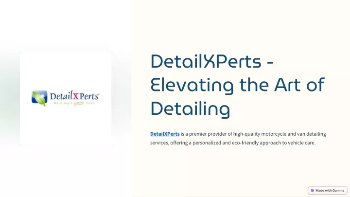 detailxperts elevating the art of detailing