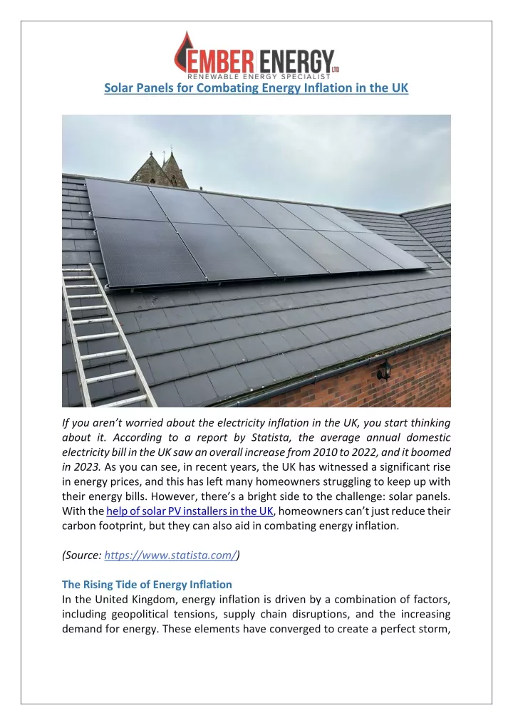 solar panels for combating energy inflation