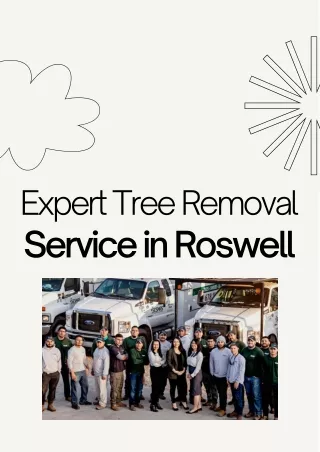 Expert Tree Removal Service in Roswell