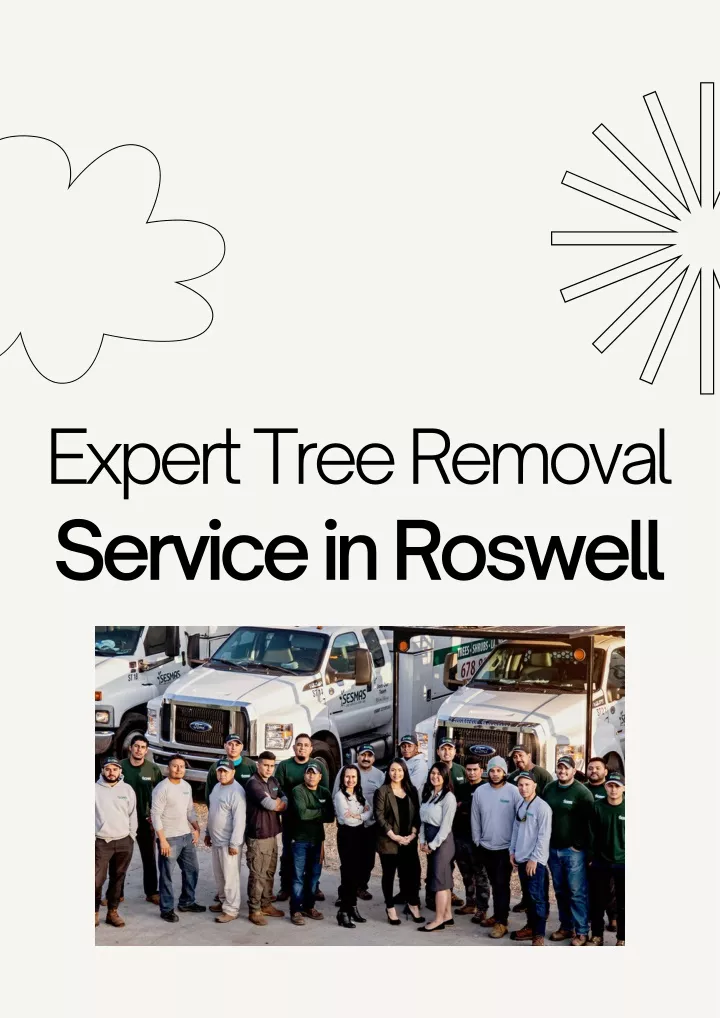 expert tree removal service in roswell