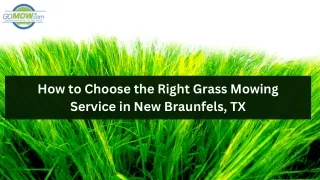 How to Choose the Right Grass Mowing Service in New Braunfels, TX