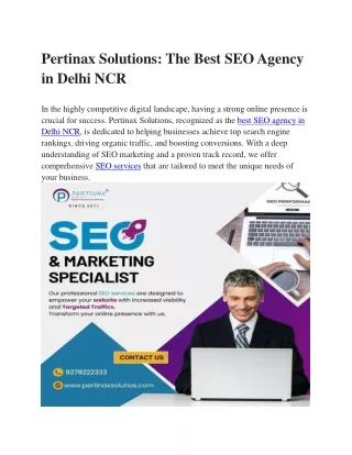 Best SEO Agency in Delhi NCR