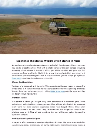 Experience The Magical Wildlife with It Started In Africa