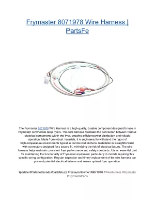 Frymaster 8071978 Wire Harness _ PartsFe