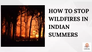 How to stop wildfires in summers