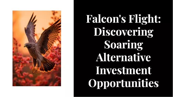 falcon s flight discovering soaring alternative